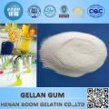 professional supplier of where to buy gellan gum